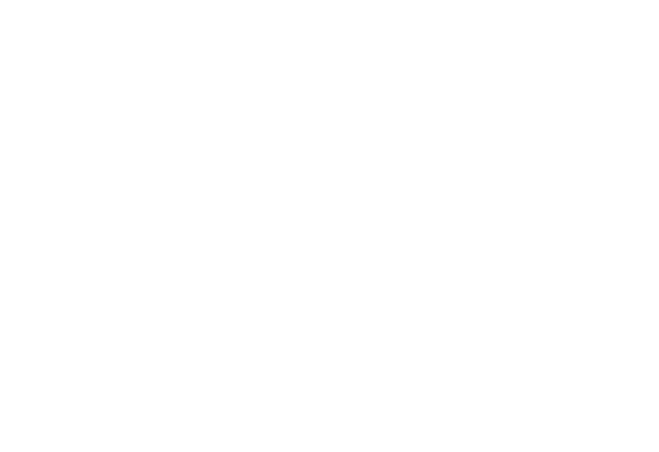 立即下载，畅享观赛 - 海星体育chenan